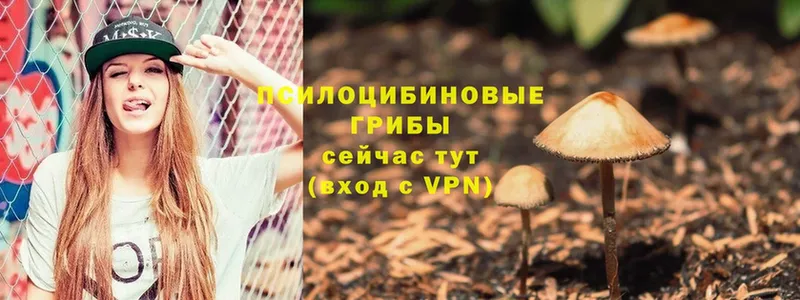 это официальный сайт  Егорьевск  Псилоцибиновые грибы Psilocybe  цена наркотик  KRAKEN ссылки 